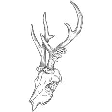 Deer Skull with Mushrooms