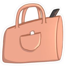 Pickleball bag