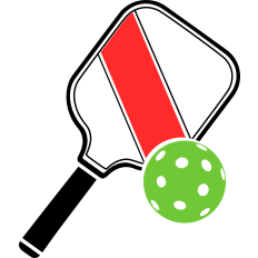 Pickleball and Paddle