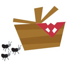 Picnic Basket
