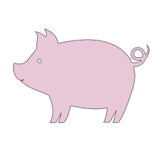 Pretty Pig Porcine