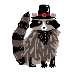 Pilgrim Raccoon