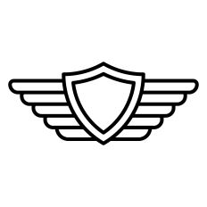Pilot Wings with Shield