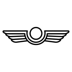 Pilot Wings