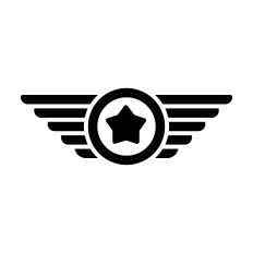 Star Pilot Wings