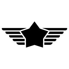 Pilot Wings with Star
