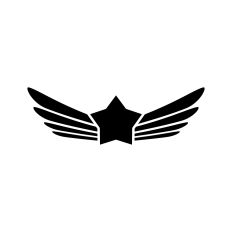 Pilot wings with star