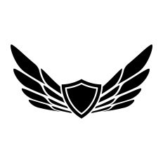 Pilot Wings Graduation Design