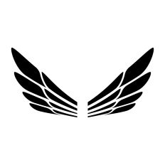 Wings silhouette