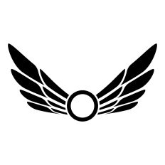 Pilot Wings Monogram Frame
