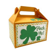 Shamrock Pinch Me Gable Box
