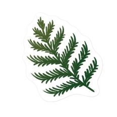 Pine Bough