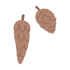 Christmas Decoration Pine Cones