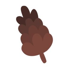 Christmas Decoration Pine Cones