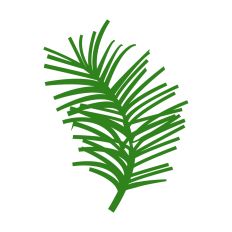 Christmas Decoration Pine Leaves  