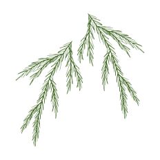 Christmas Decoration Pine Leaves  
