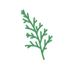 Christmas Decoration Pine Leaves  