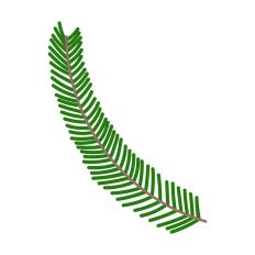 Christmas Decoration Pine Leaves  
