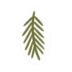 Pine Needles