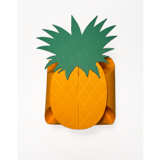 Pineapple Petal Treat Box