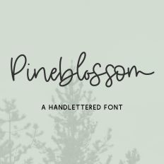 Pineblossom Script Font