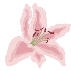 Pink Lily Separates SVG Design
