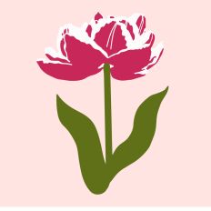 Pink Passion 1