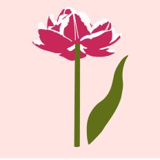 Pink Passion 2