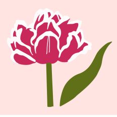 Pink Passion 4