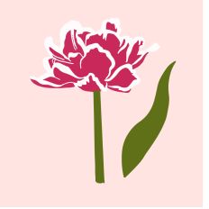 Pink Passion 5