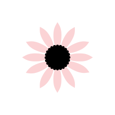 Pink Sunflower with Black Center
