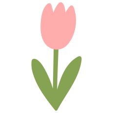 Pink Tulip