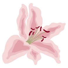 Pink Lily Spring Flower Easy Stack SVG