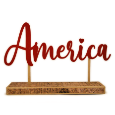 America Word on Sticks and Plank
