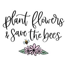 Plant Flowers and Save the Bees