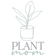 Plant Mom Artwork