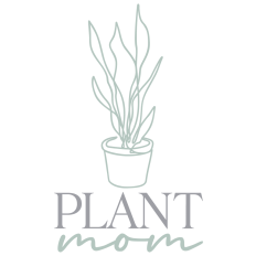 Snake Plant Mom Artwork