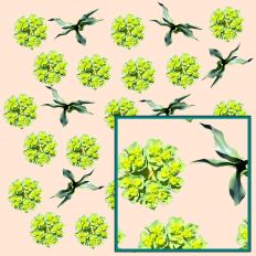 Wild Herbs Pattern