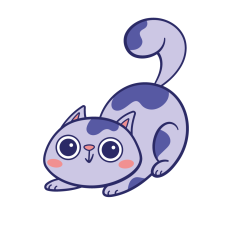 Playful Chubby Cat