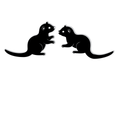 Playful Ferrets