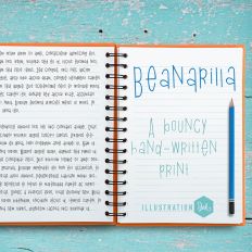 PN Beanarilla