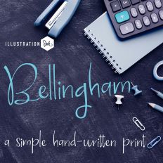 PN Bellingham Print Light