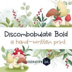 PN Discombobulate Bold