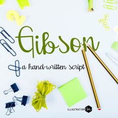 PN Gibson Light