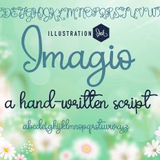 PN Imagio Bold