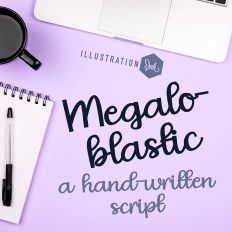 PN Megaloblastic Bold