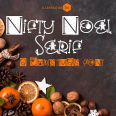 PN Nifty Noel Serif 