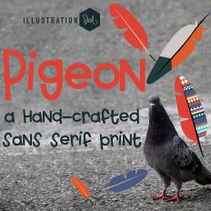 PN Pigeon