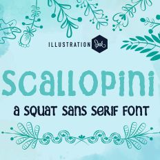 PN Scallopini Bold
