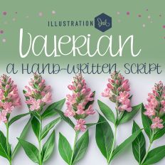 PN Valerian Light